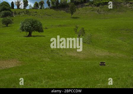 Landschaftlich Reizvoll Puerto Rico, Coamo Stockfoto