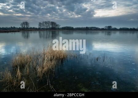 Ein schönes Bild eines gefrorenen Sees mit trockenem Schilf, Bäumen am Horizont und Abendwolken Stockfoto