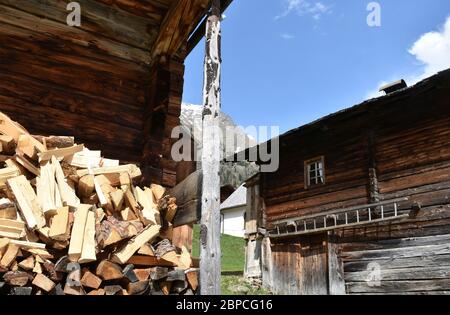 Holz, Scheit, Holzscheit, Brennholz, aufgestapelt, gespalten, Spaltholz, aufgespalten, Bio, nachhaltig, brennen, Feuer, Wärme, heizen, Vorsorge, Lager Stockfoto