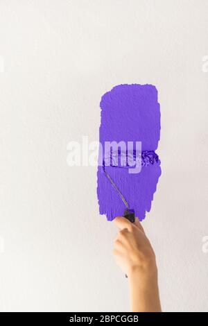 Menschliche Hand mit einer kleinen Rolle Farbe beginnt, eine weiße Wand Handwerk Meister Ausbildung Kontrast Farbe Probe Farbe Test dunkelblau b malen Stockfoto