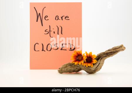 Vorsichtiges, handgeschriebenes Geschäftsschild liest WIR SIND NOCH geschlossen mit Blumen und getrocknetem Holz Akzent vorne auf weißem Hintergrund Stockfoto