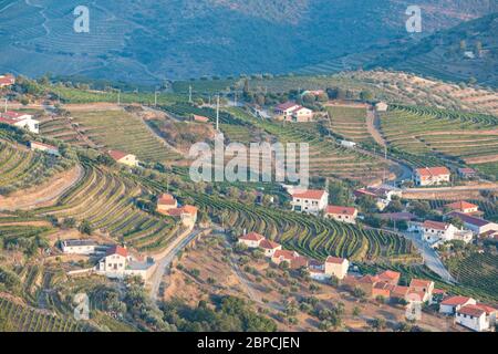 Douro Weinberge aus der Vogelperspektive Stockfoto