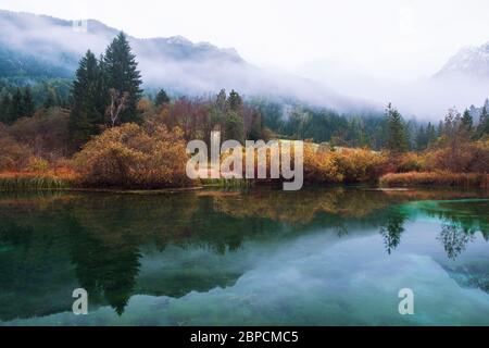 Zelenci See im Herbst im Triglav Nationalpark. Kranjska Gora, Slowenien Stockfoto