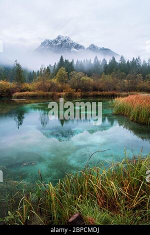 Zelenci See im Herbst im Triglav Nationalpark. Kranjska Gora, Slowenien Stockfoto