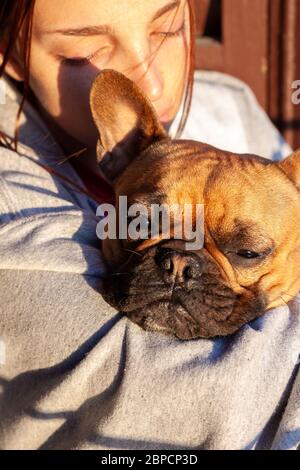 Kleiner Hund mit Besitzer verbringen Sie einen Tag zu Hause spielen und Spaß haben Stockfoto