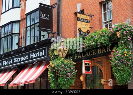 Die Palace Bar, Temple Bar District, Stadt Dublin, County Dublin, Leinster, Irland, Europa Stockfoto