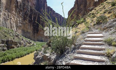 Stufen auf dem Aufstieg am östlichen Ende des Santa Elena Canyon Trail im Big Bend National Park Stockfoto