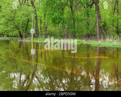 River Forest, Illinois, USA. Mai 2020. Flutwasser vom des Plaines River füllen Chicago Avenue, wo es durch Thatcher Woods Forest Preserve geht. Stockfoto