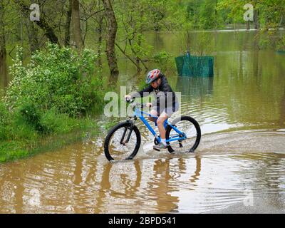 River Forest, Illinois, USA. Mai 2020. Ein Junge fährt mit dem Fahrrad durch ein flaches Gebiet des des Plaines River Flutwasser im Thatcher Woods Forest Preserve in der Nähe dieses westlichen Vororts von Chicago. Stockfoto