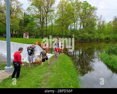 River Forest, Illinois, USA. 18. Mai 2020, Erwachsene und Kinder besuchen die Zeitvertaufflutsperre auf Chicago Avenue. Die Barriere hält des Plaines River Flutwasser weg von diesem westlichen Vorort von Chicago. Stockfoto