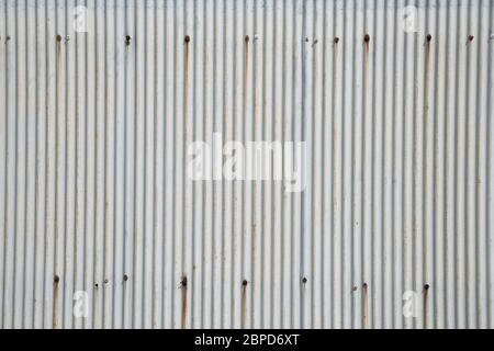 Grau rostig wellige Metallplatte Wand Hintergrund Textur Stockfoto