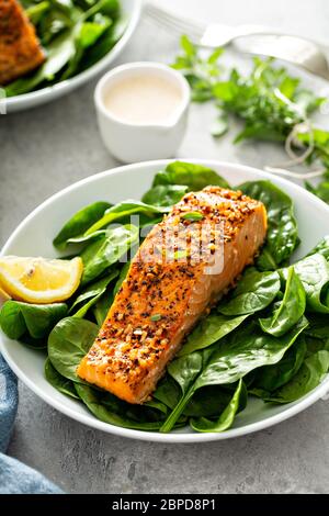 Zedernholz-Planke gebratener Lachs mit Spinat Stockfoto