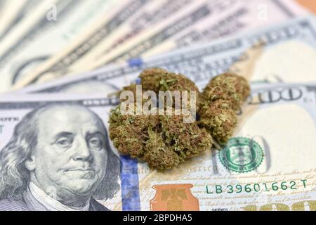 Cannabis Marijuana Knospen mit Joint auf US Dollar. Marihuana Cannabis Geschäftskonzept. Börsenkonzept für medizinisches Marihuana. CBD Dollar Cannabis THC Stockfoto