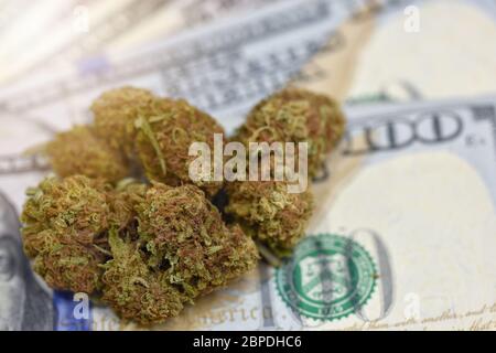 Cannabis Marijuana Knospen mit Joint auf US Dollar. Marihuana Cannabis Geschäftskonzept. Börsenkonzept für medizinisches Marihuana. CBD Dollar Cannabis THC Stockfoto