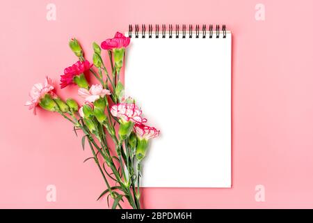 Buntes Bouquet von verschiedenen rosa Nelke Blumen, weißes Notizbuch auf rosa Hintergrund Stockfoto