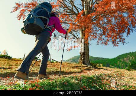 Wandermädchen geht alleine auf einem Bergpfad. Soziale Distanzierung im wunderlust Stockfoto