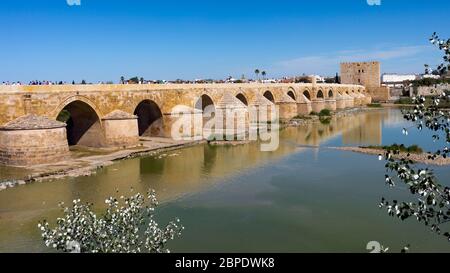 Cordoba, Provinz Córdoba, Andalusien, Südspanien.   Die römische Brücke, überqueren den Fluss Guadalquivir und führt zu der Calahorra Turm.  Die brid Stockfoto