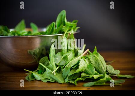 Frisch geschnittene Sauerampfer-Blätter auf einem Holztisch Stockfoto