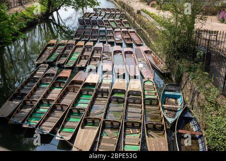 Punts auf dem Fluss Cherwell, Oxford, zusammengebunden und ungenutzt während Covid-19 Stockfoto