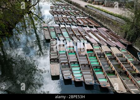 Punts auf dem Fluss Cherwell, Oxford, zusammengebunden und ungenutzt während Covid-19 Stockfoto