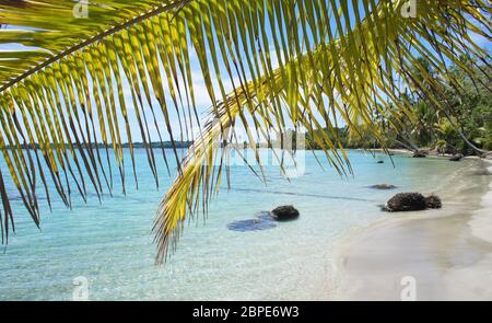 Impressionen vom sonnigen und grünen Costa Rica Stockfoto