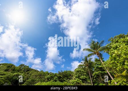 Schöne hohe Aussicht blauer Himmel Wolke und Sonne im Sommer über Palmen am Strand für Hintergrund auf Koh Similan Inseln im Mu Ko Similan Nationalpark, Stockfoto