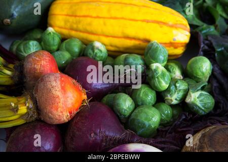 Frischer Kürbis, Rosenkohl und Rüben für eine leckere Winter-Suppe. Stockfoto