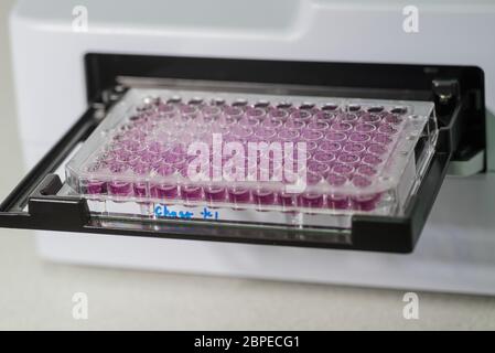 96 Well Platten für immunologische Labor auf automatische folienleser Stockfoto