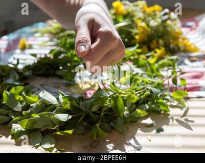 Frau macht eine schwedische Mittsommerkopf-Kreation mit Blumen im Hintergrund. Stockfoto