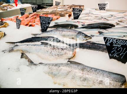 Frischfisch auf Eis zum Verkauf auf Markt Stockfoto