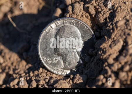 Fotografiert in der Nähe von ein Viertel der US-Dollar, auf dem Boden liegend, ein landwirtschaftlicher Bereich Stockfoto