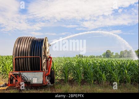 Landwirtschaftliche Geräte. Ausrüstung, die Wasserpumpen im Kornfeld. Wasser sprinkler Stockfoto