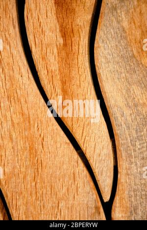 Abstract aus Abschnitt der Holzschnitzerei in handgefertigten Holztür, Wiltshire, England Stockfoto