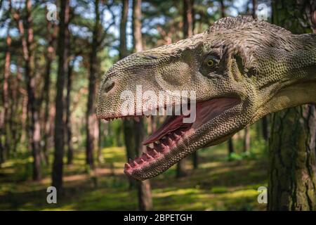 Solec Kujawski, Polen - August 2017: Lebensgroßen Kopf eines Tyrannosaurus rex Dinosaurier Statue in einem Wald Stockfoto
