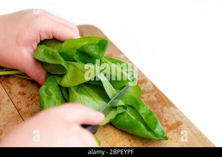 Nahaufnahme der Hände des Küchenchefs, die grünen Spinat auf einem Holzbrett schneiden. Machen Sie gesunde Salat zu Hause Stockfoto