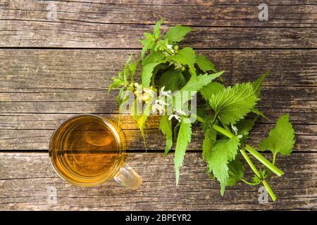 Weiße tote Nessel und Brennnessel Tee. Stockfoto
