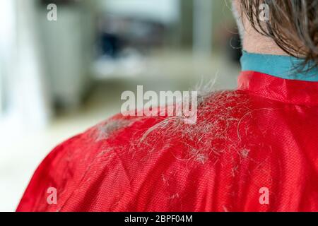 Startseite Friseur Schneiden mans Haare zu Hause während der Quarantäne. Graue Haare auf den Schultern. Stockfoto