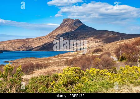 Berühmte Schottische kleiner Berg Stac Pollaidh (612 m) von der Single Track Road gesehen namens North Coast 500 entlang Loch Lurgainn im Hochland Schottlands Stockfoto