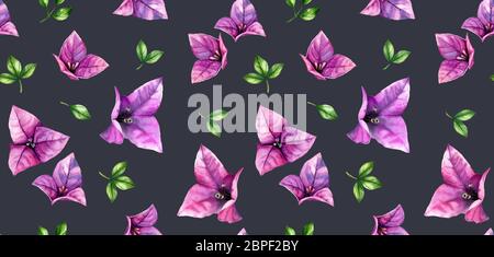 Aquarell floral nahtloses Muster. Regen von Bougainvillea lila Blüten auf dunkelgrauem Hintergrund. Botanische Hand gezeichnet tropische Illustration für Stockfoto