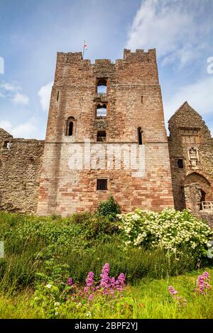 Der große Turm und das Torhaus aus dem 12. Jahrhundert zum inneren bailey von Ludlow Castle, Shropshire, England Stockfoto