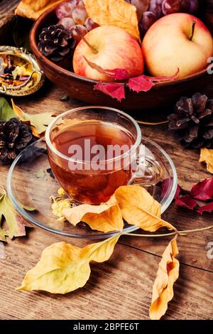 Tasse mit Tee auf Herbst Hintergrund Laub und Äpfel. Herbst noch Leben Stockfoto