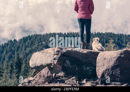 Mädchen in Jeans und rosa jacke mit ihrem Hund durch Ihre Seite auf einem Felsen im Schwarzwald Nationalpark, genießen Sie die Aussicht über die bewaldeten Berge Stockfoto