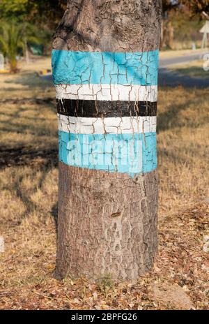 Flagge gemalt auf einem Baum - Stolz Botswana Stockfoto