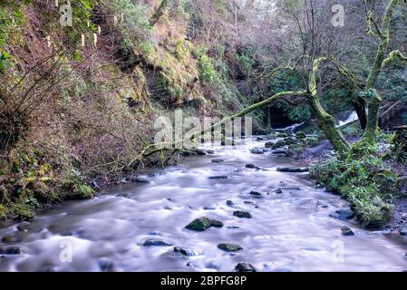 Lange Exposition eines Flusses in Rouken Glen Park, Glasgow, Großbritannien Stockfoto