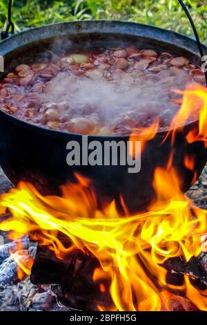 Kochen Suppe Aus Gusseisen Kessel Am Brennen Lagerfeuer. Topf Mit Suppe ...