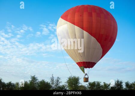 Der große rot-weiße Heißluftballon fliegt über Bäumen am wolkig blauen Himmel. Stockfoto