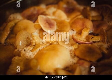 Pilze in einem Topf gekocht hautnah. Stockfoto