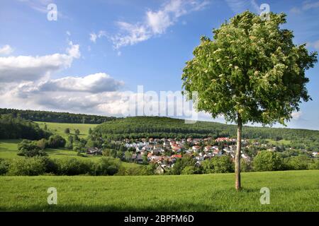 Landschaft in der Taunus-Region im Frühjahr, Deutschland Stockfoto