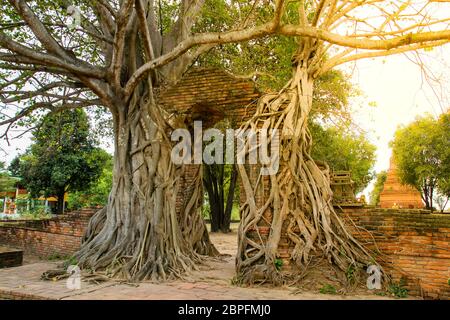 Alte Tor im Wat Phra Ngam Tempel, Ayutthaya, Thailand. Stockfoto