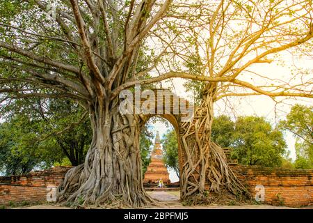 Alte Tor im Wat Phra Ngam Tempel, Ayutthaya, Thailand. Stockfoto